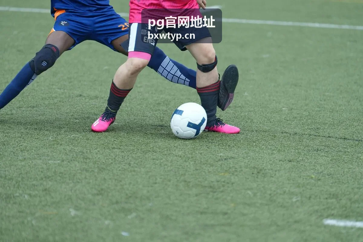 pg官网地址访问路径跳转示意