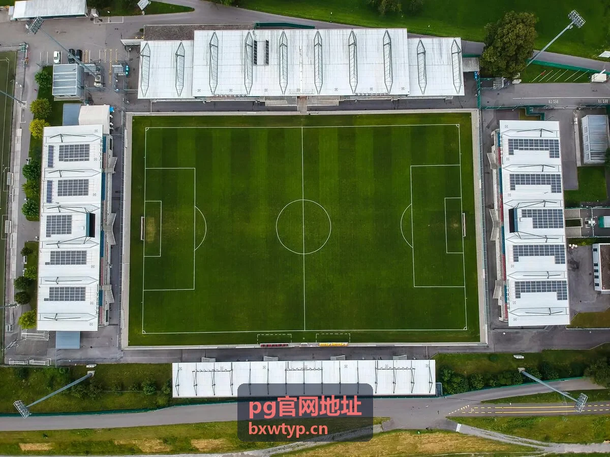 pg官网地址页面加载速度排查示意