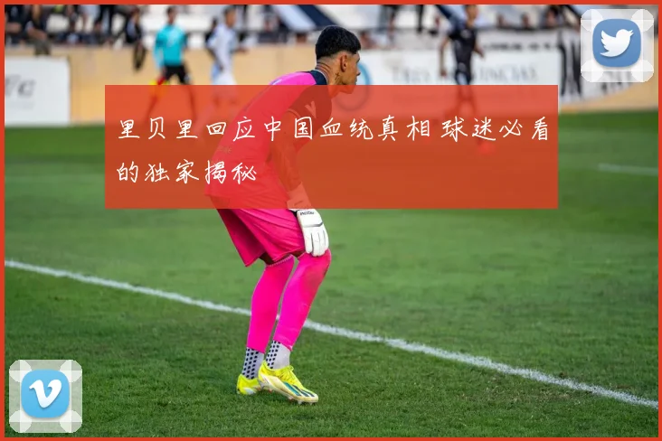 里贝里回应中国血统真相 球迷必看的独家揭秘