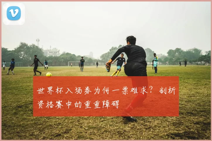 世界杯入场券为何一票难求？剖析资格赛中的重重障碍